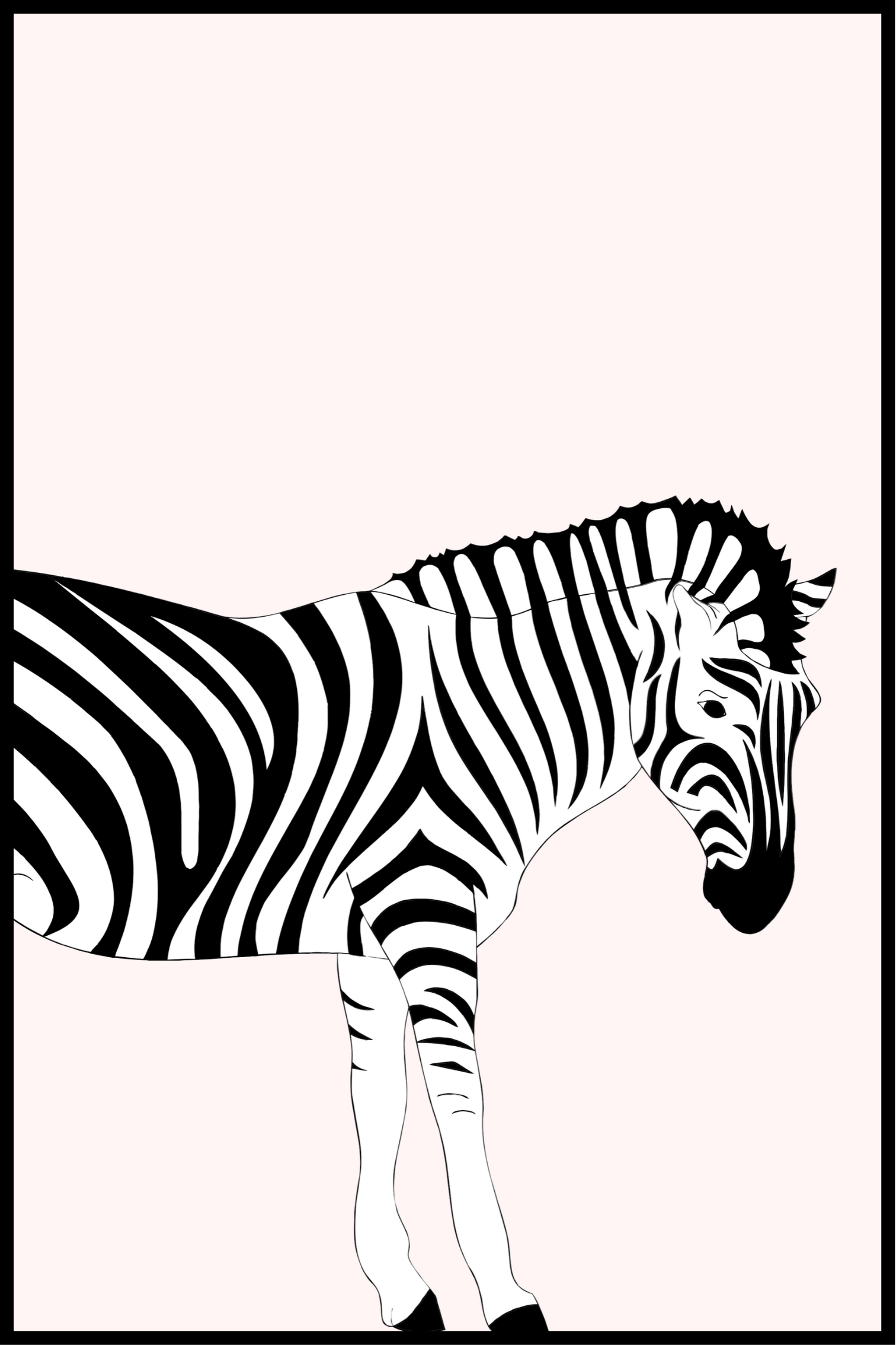 Zebra barnaffisch
