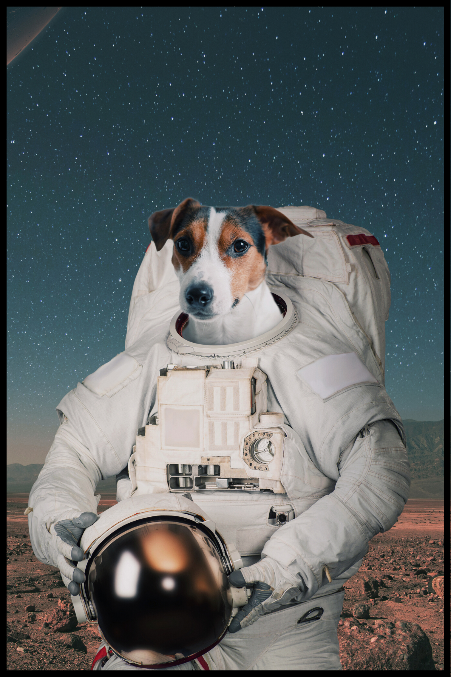 Astronauthund affisch