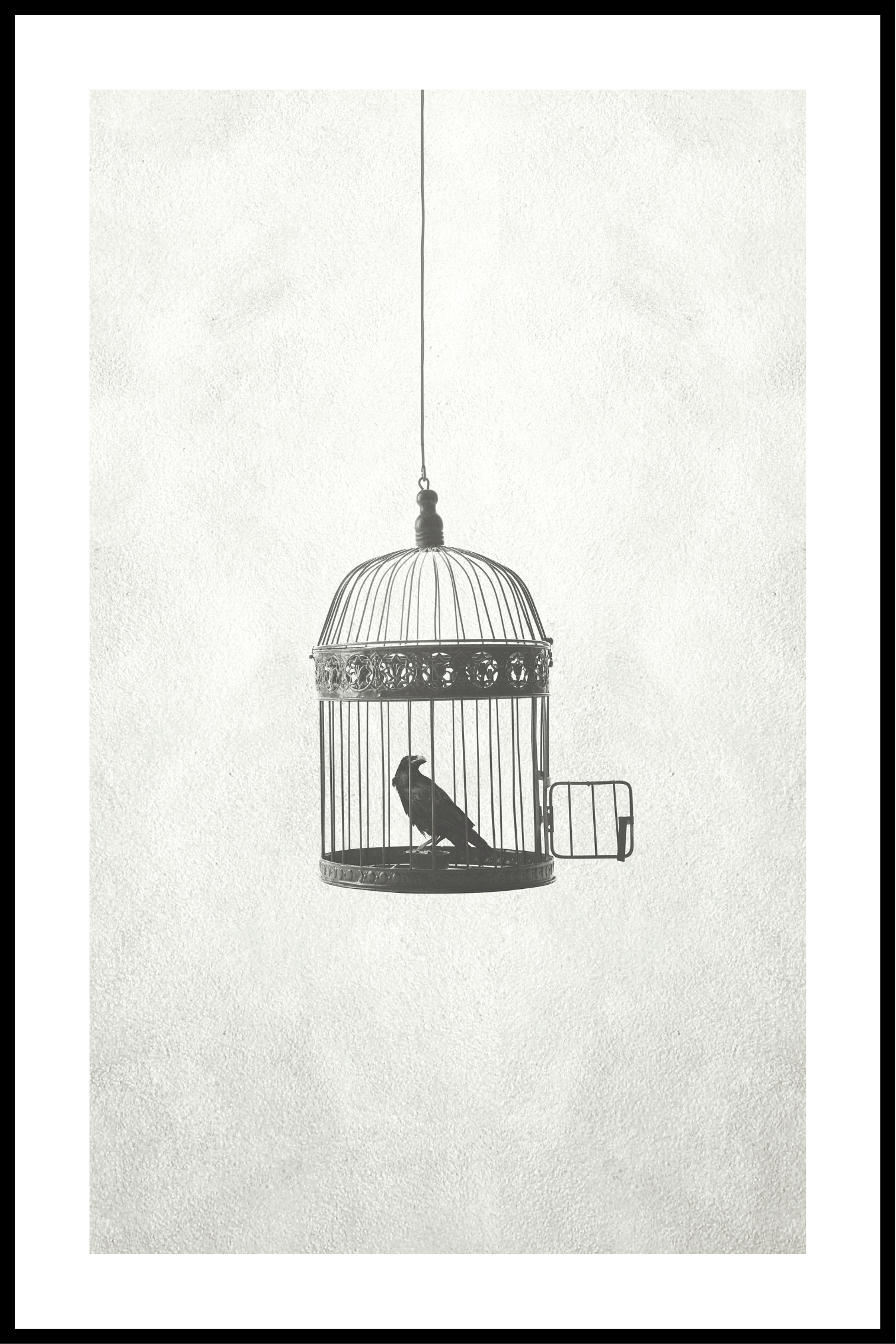 Fågel i en öppen bur affisch