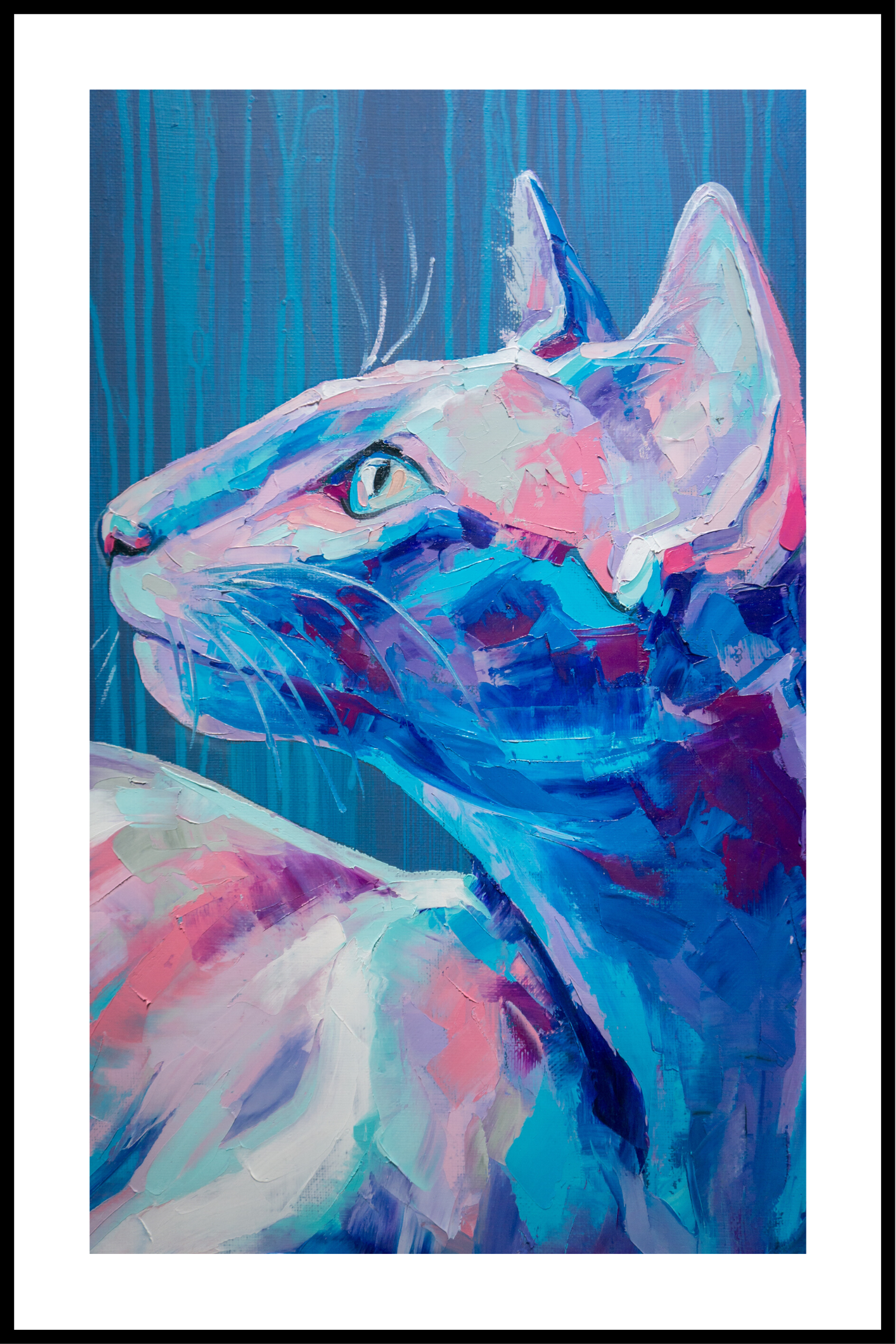 färgad katt med gränsen affisch