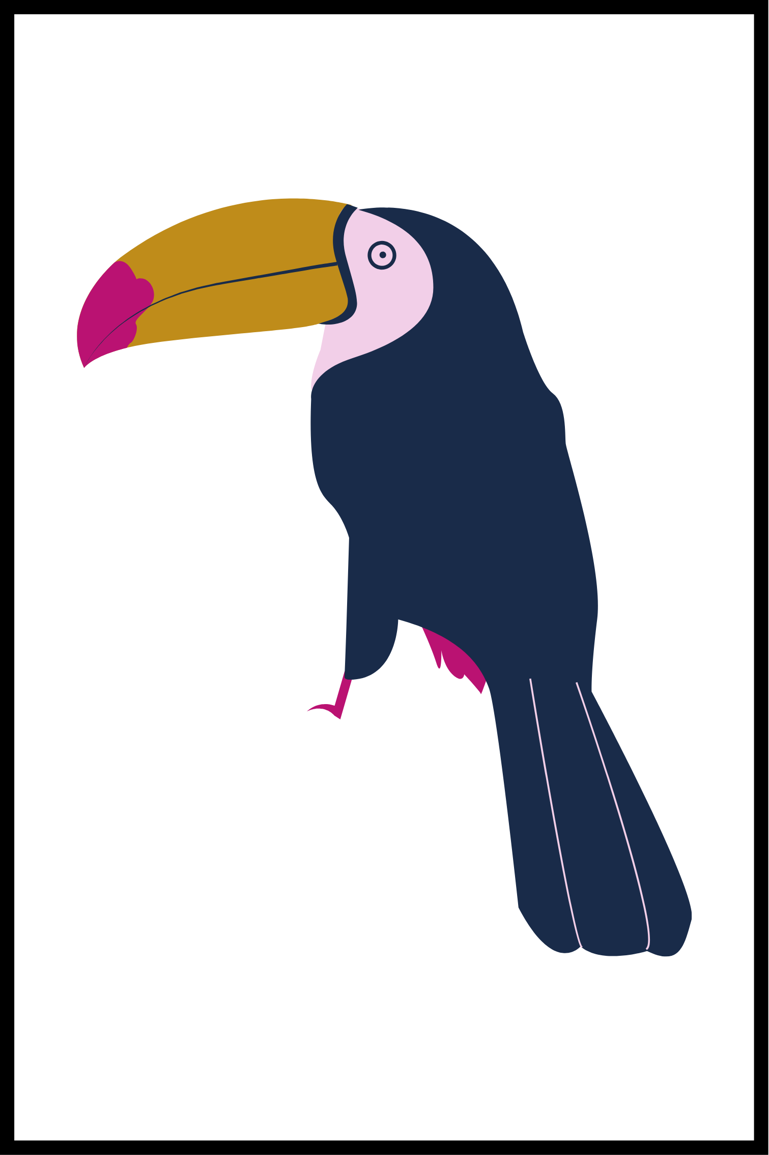 färgad fågel affisch