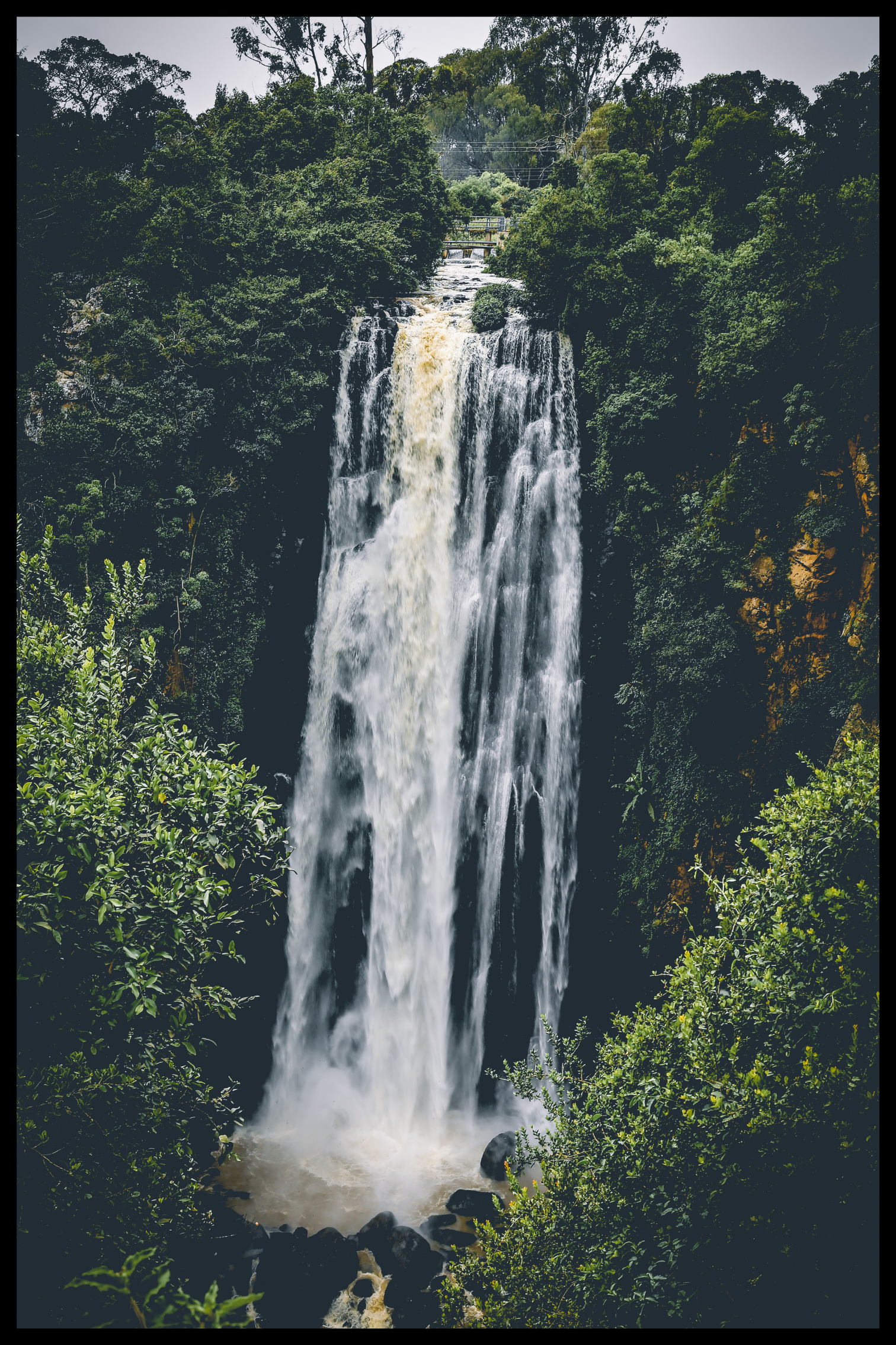 Grönt vattenfall