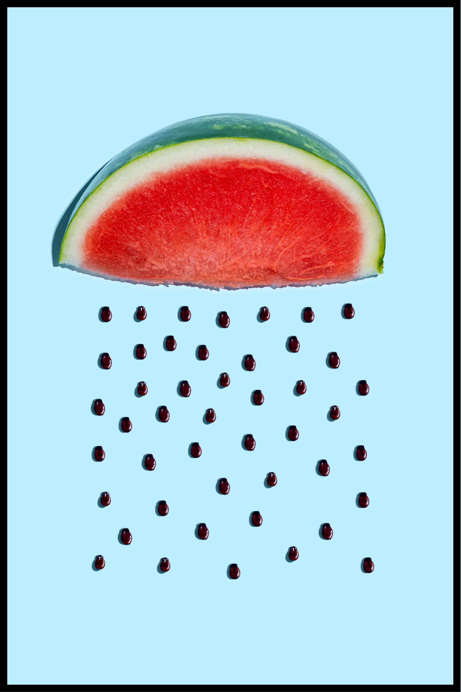 Melon frön affisch