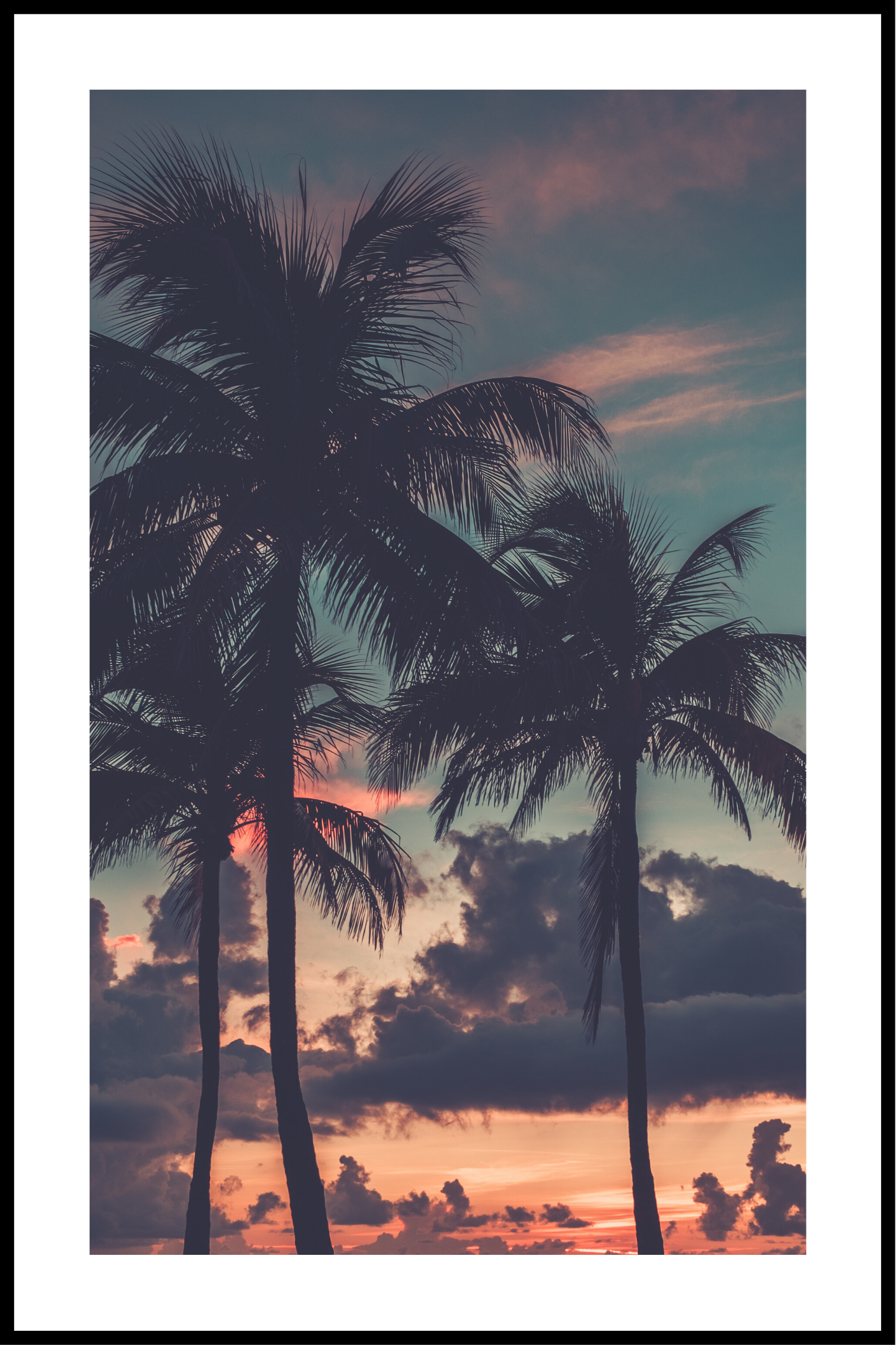 palmträd vid solnedgången affisch