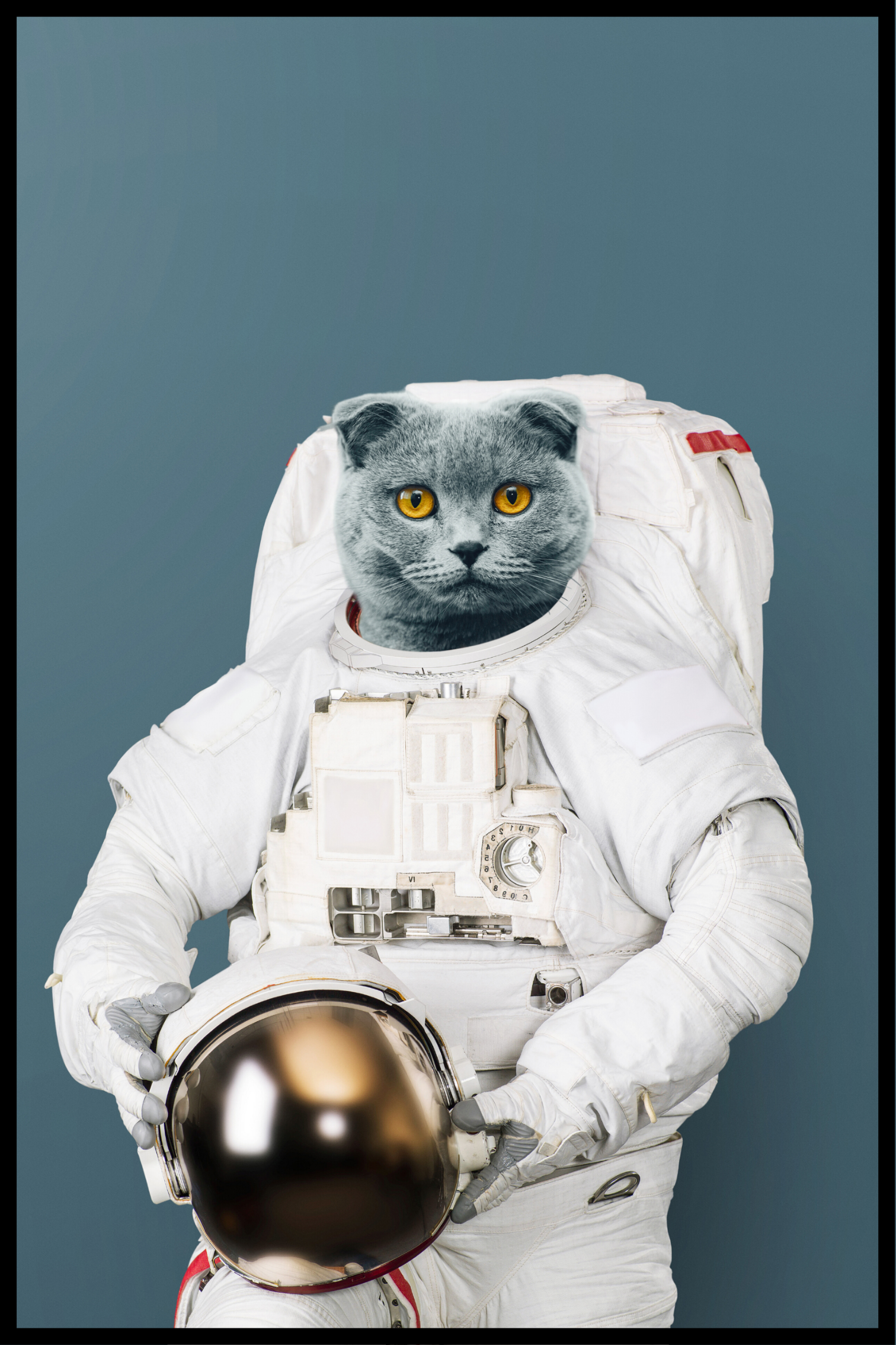 Astronaut katt affisch