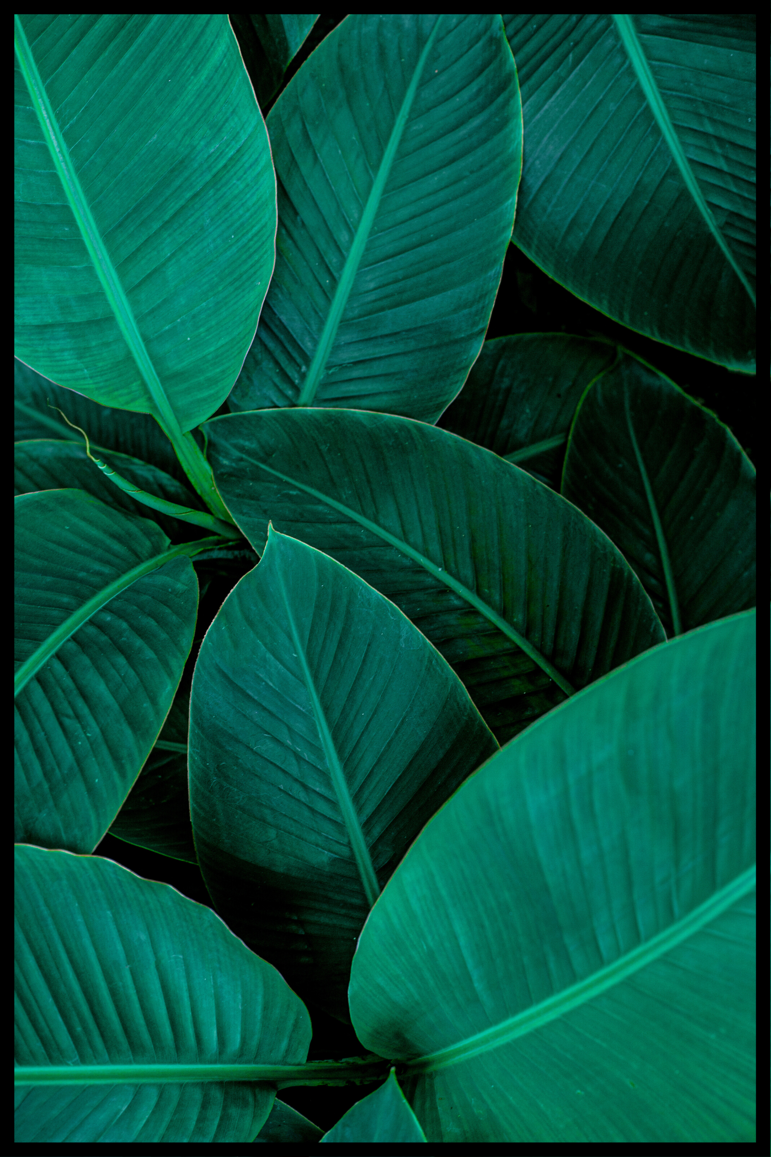 gröna blad affisch