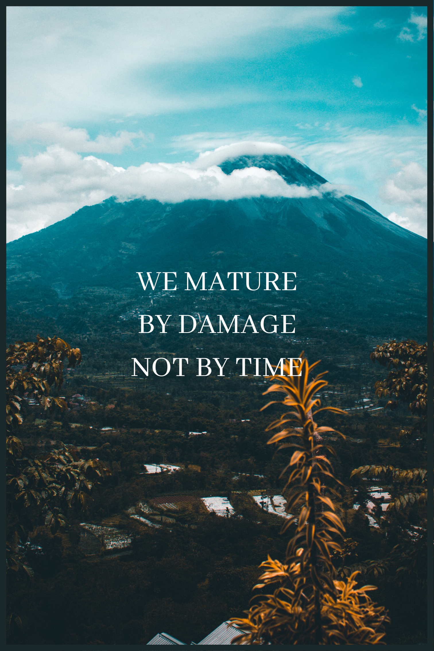 Affisch We Mature By Damage